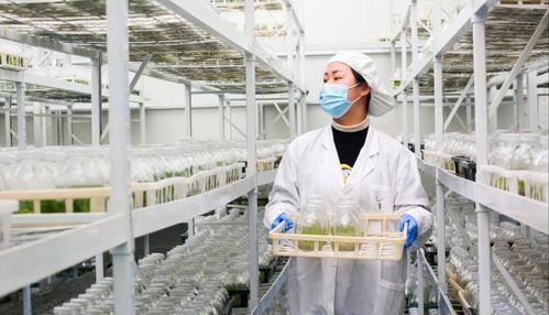 科技賦能溫泉助農(nóng) 設施創(chuàng)新撬動增收新途徑